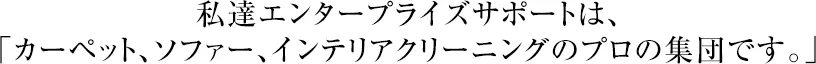 私達は、「カーペット、ソファー、インテリアクリーニングのプロの集団です。」