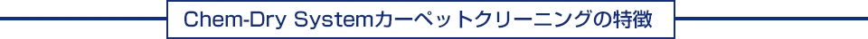 Chem-Dry System の特徴